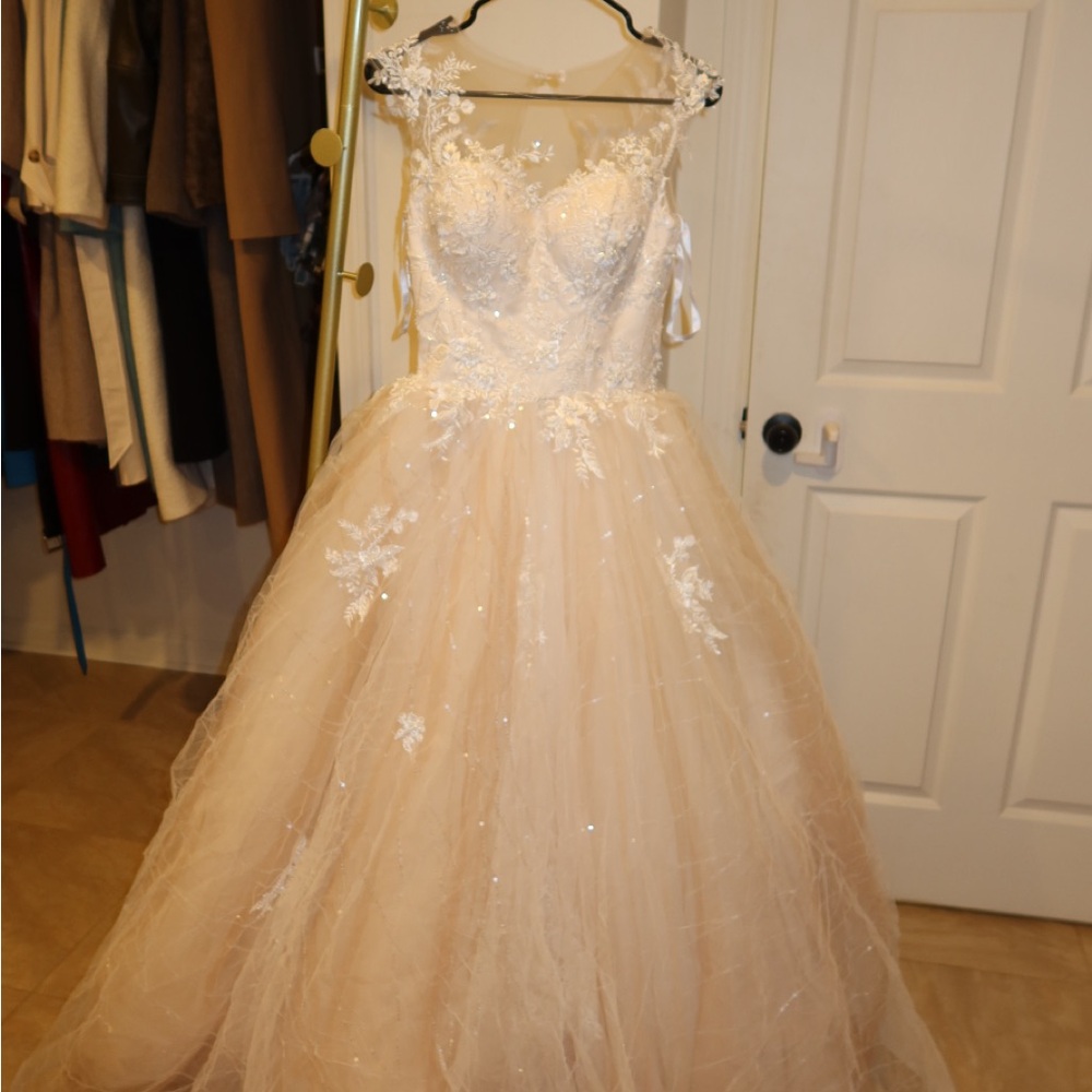 Madioni by Ariamo Lace & Tulle Ball Gown Wedding Dress